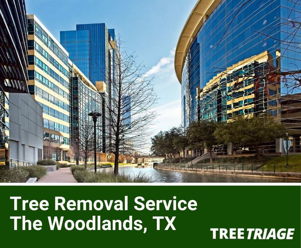 Jobs in the woodlands texas area