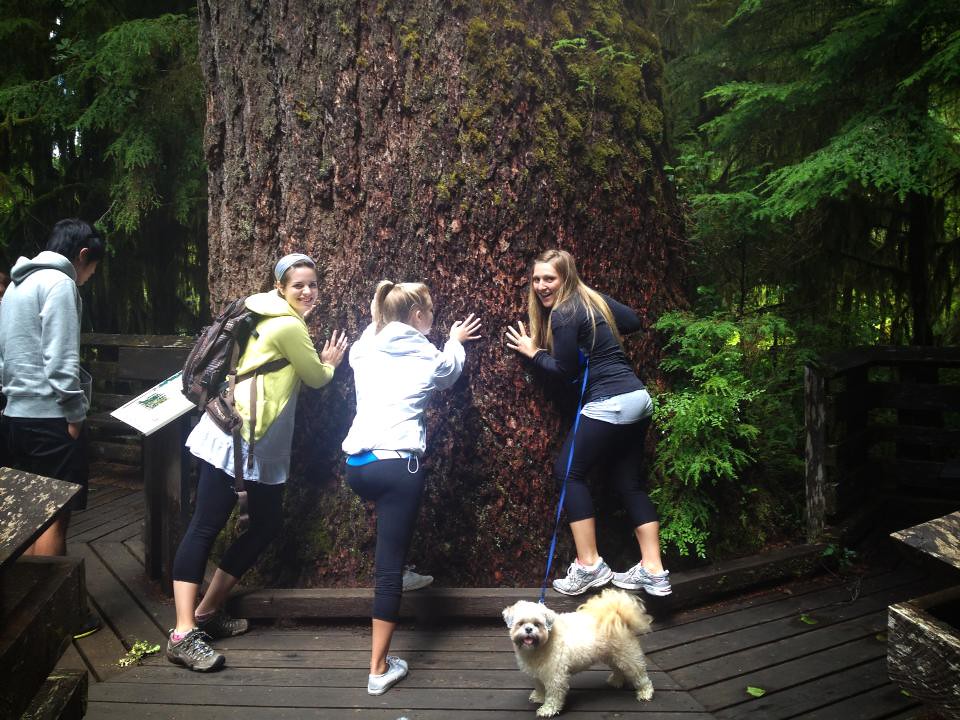 3 women and a dog standing next to a giant tree